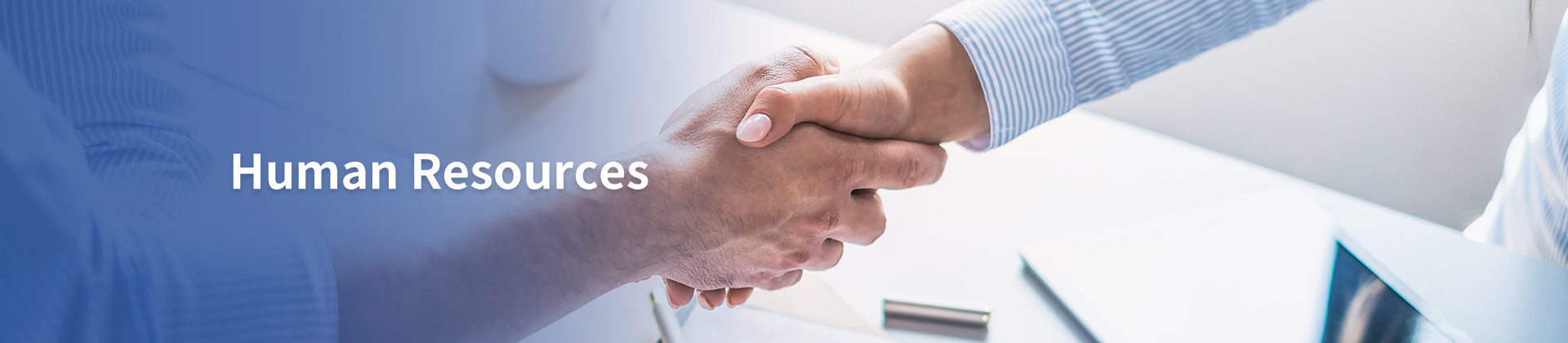 人力资源